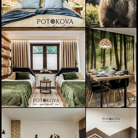 Potokova Apartament Centrum Zakopane Exterior photo