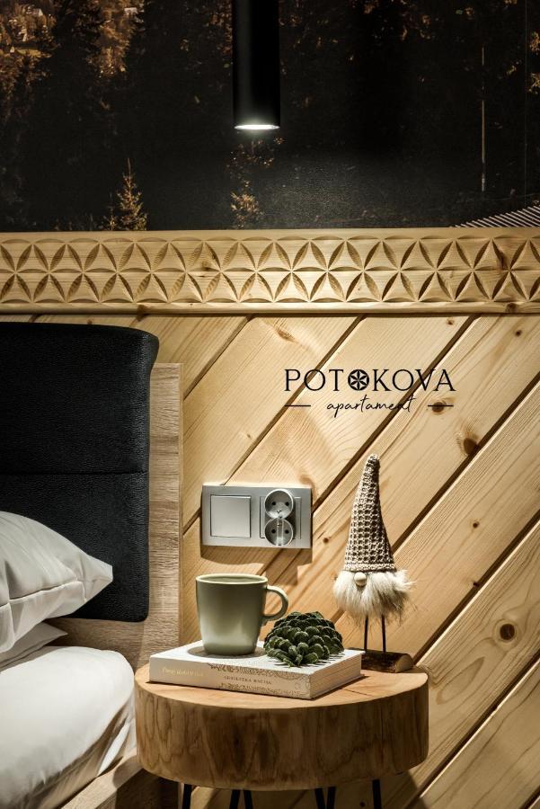 Potokova Apartament Centrum Zakopane Exterior photo
