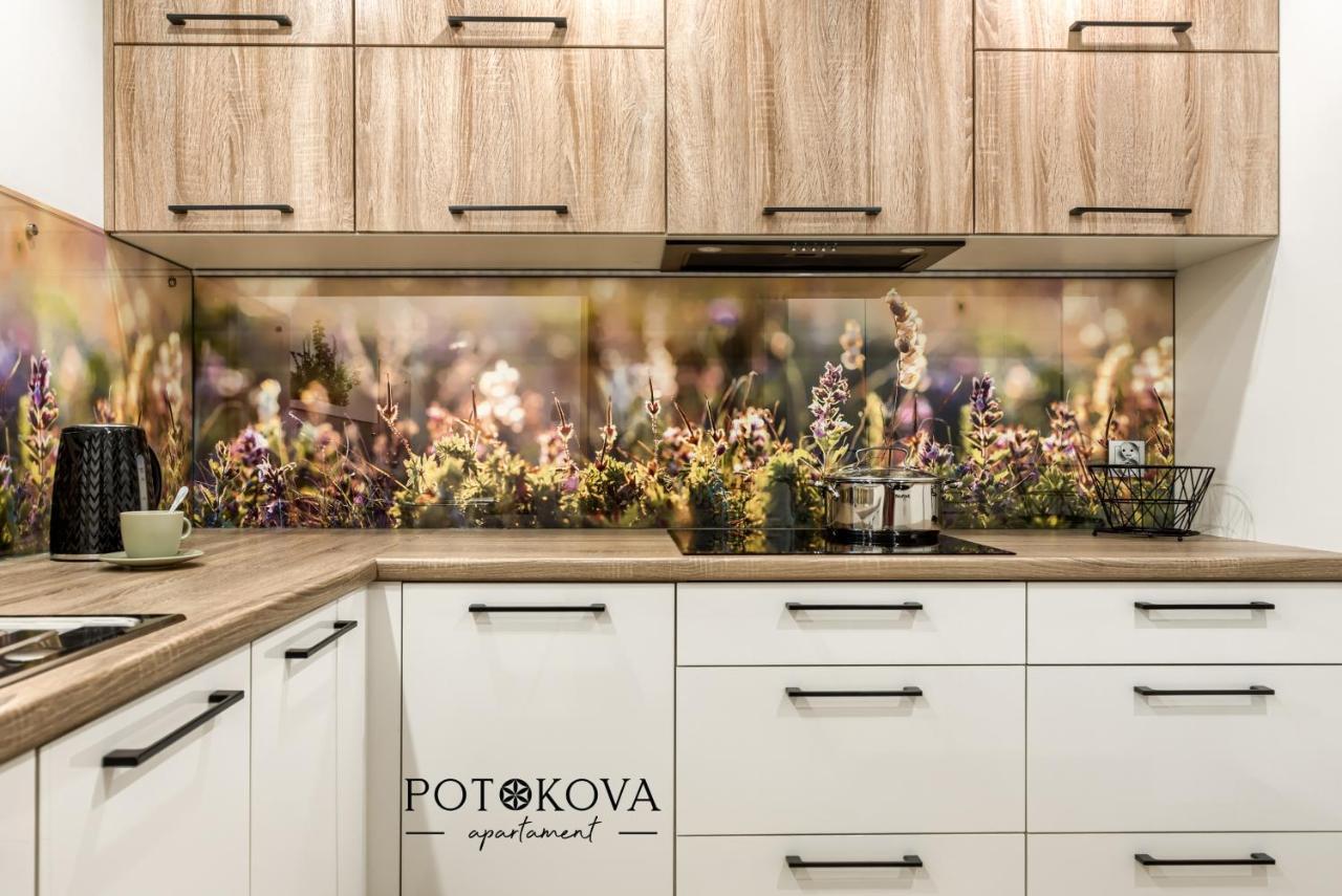Potokova Apartament Centrum Zakopane Exterior photo